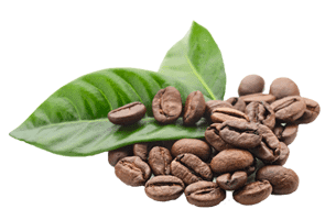Caffeine